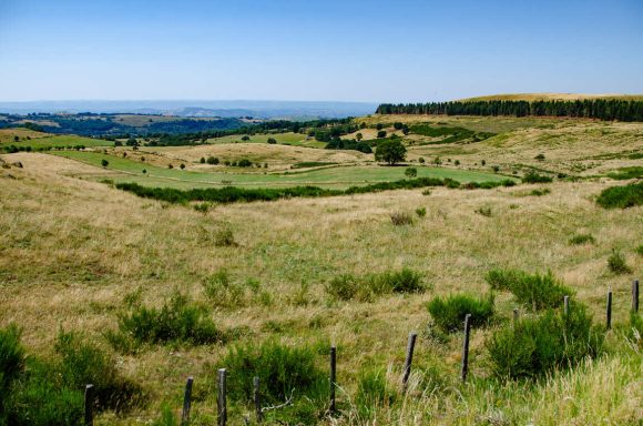 Paysage de l'Aubrac